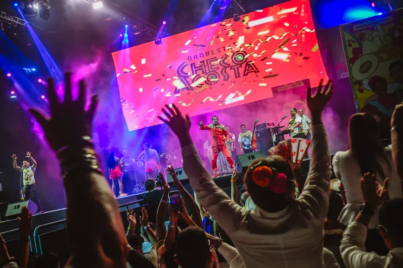 Artista musical en escena durante un concierto en Ibagué.