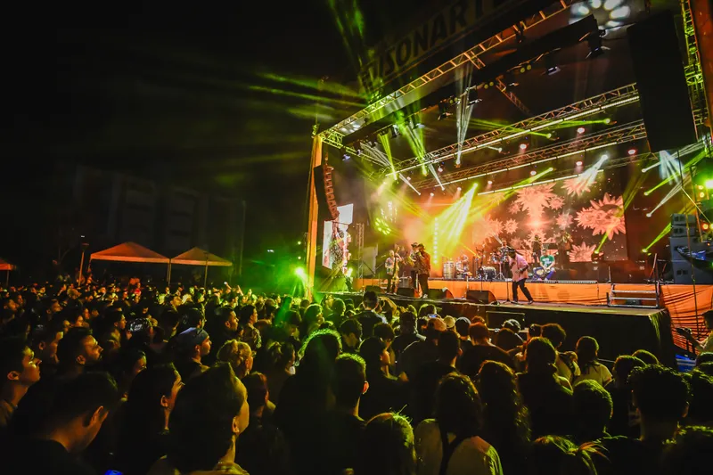 Artista musical en escena durante un concierto en Ibagué.